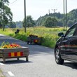 Blomlådor används som farthinder